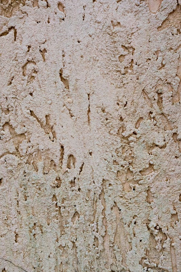 Texture of the decorative stucco wall as a background. Bark beetle style royalty free stock photos